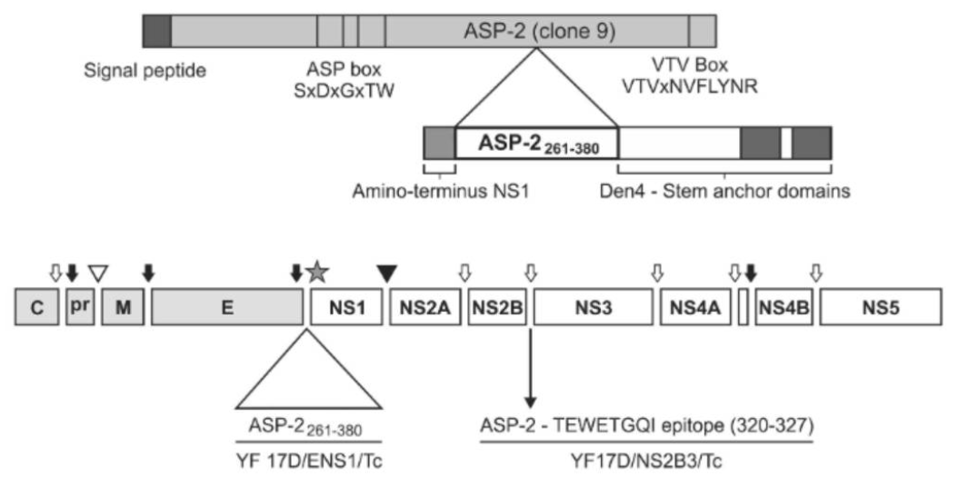 image-20250318110038079